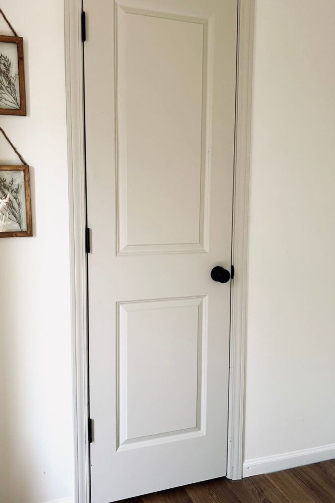 door hinges and door knob