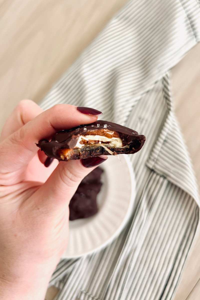 no bake chocolate date turtle