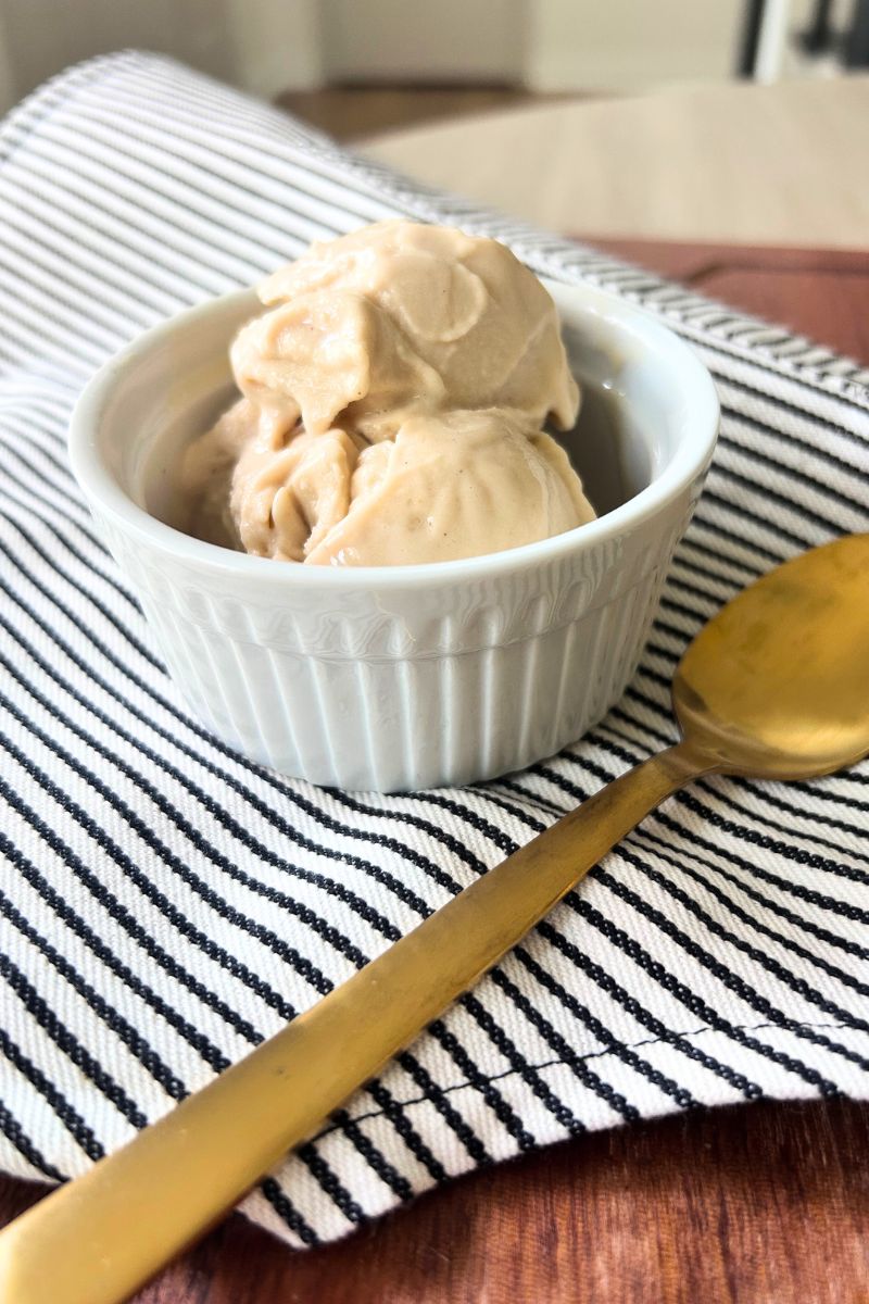 ninja creami protein ice cream in dish