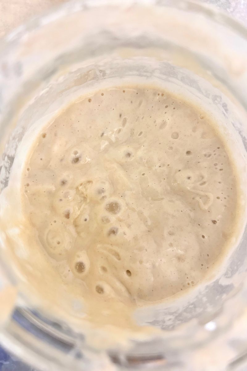 sourdough starter in jar