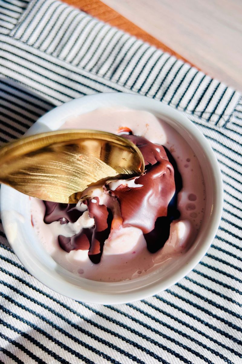 strawberry protein ice cream ninja creami with homemade chocolate shell