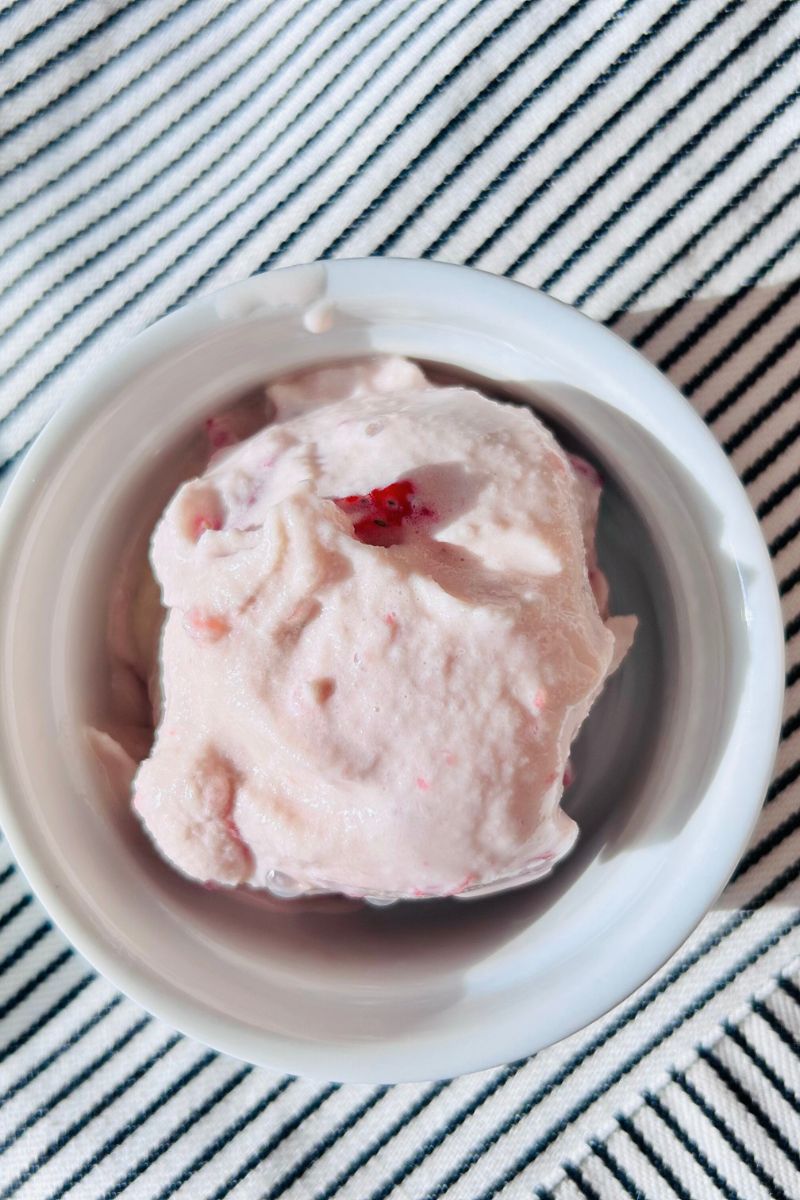 strawberry protein ice cream ninja creami
